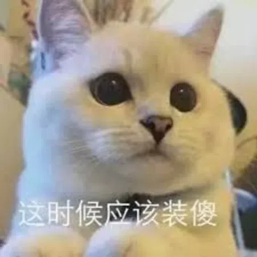 Meow meme - Sticker 10