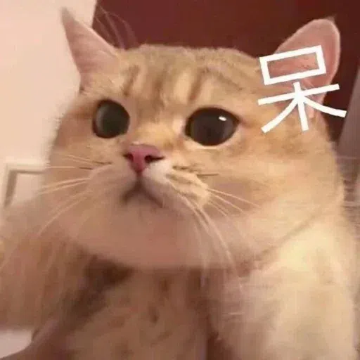 Meow meme - Sticker 27