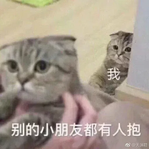 Meow meme - Sticker 19