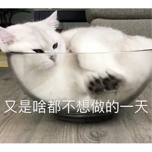 Meow meme - Sticker 21