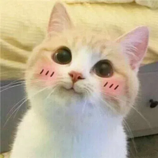 Cute - Sticker 15