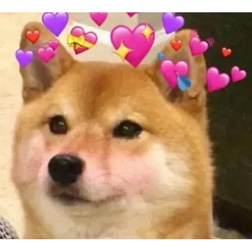 Cute - Sticker 19