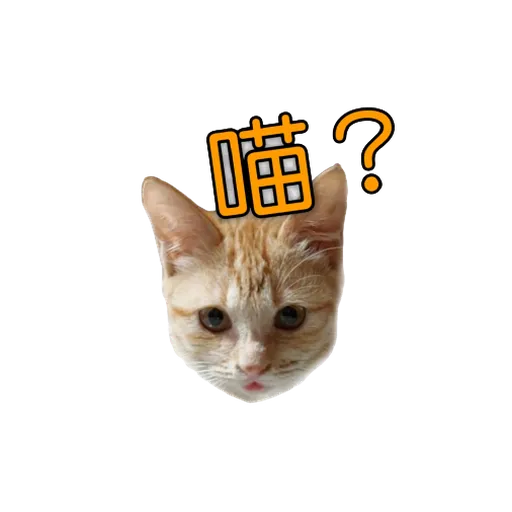 小小 - Sticker 24