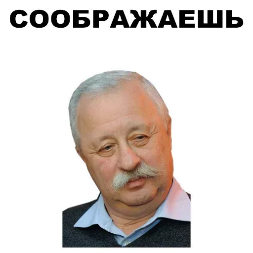 YakuStetham - Sticker 18