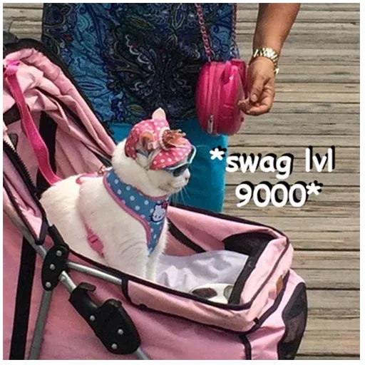Polite Cats - Sticker 15