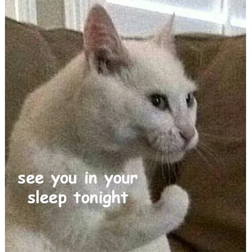 Polite Cats - Sticker 16