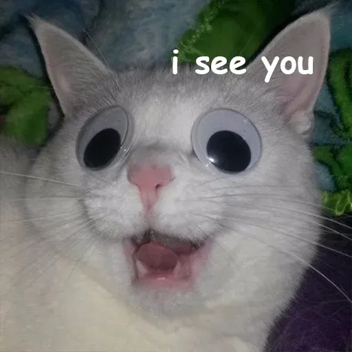 Polite Cats - Sticker 13