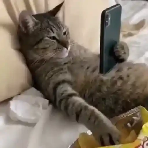 TikTok Animated Memes 1 - Sticker 14