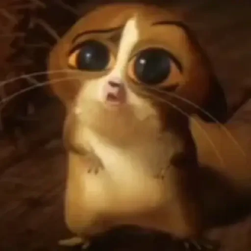 TikTok Animated Memes 1 - Sticker 12