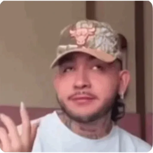 TikTok Animated Memes 1 - Sticker 20