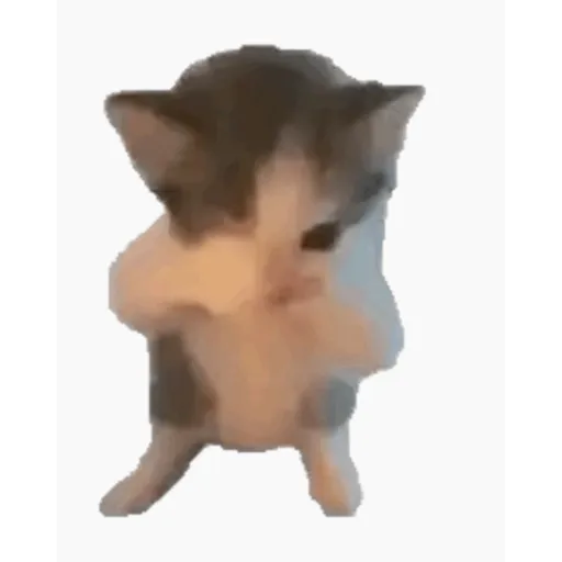 TikTok Animated Memes 1 - Sticker 17