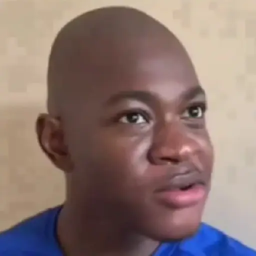 TikTok Animated Memes 1 - Sticker 24