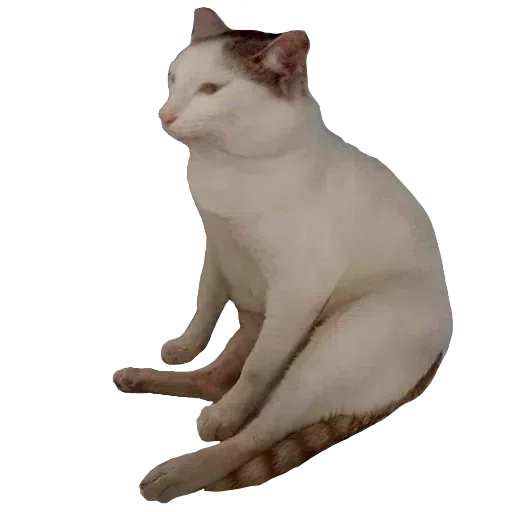 Cheemsburger's Redemption Remastered By Skull 3 - Sticker 28