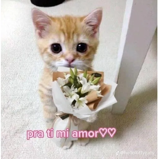 AS MELHORES - Sticker 15