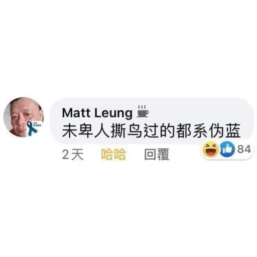 Matt Leung - Sticker 15