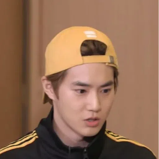Exo memee - Sticker 26