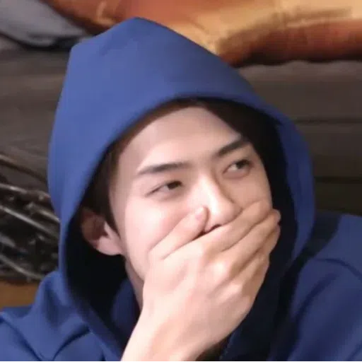 Exo memee - Sticker 28