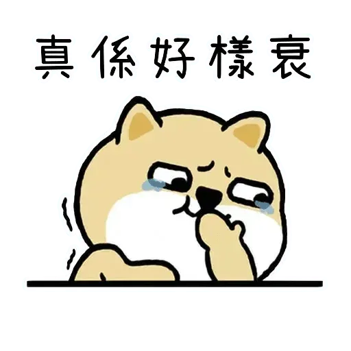 Shiba Try - Sticker 24