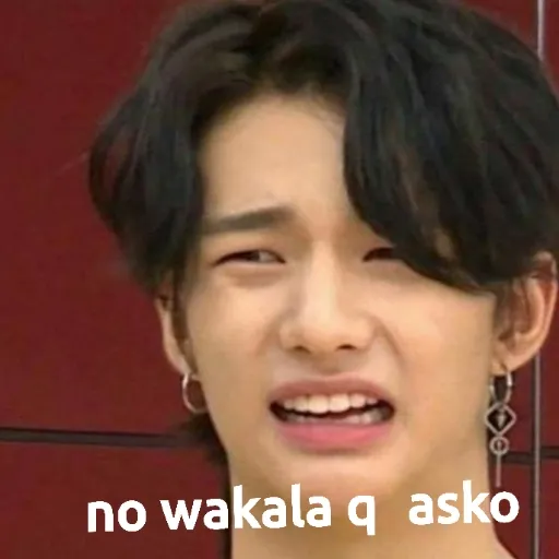 SKZ FUNNY - Sticker 12