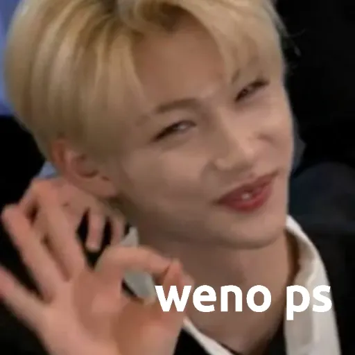 SKZ FUNNY - Sticker 11