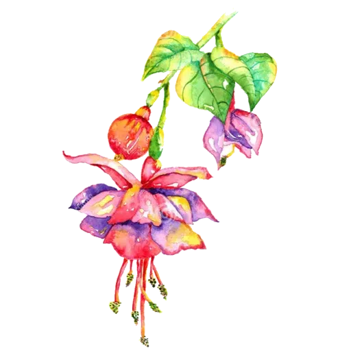 flower - Sticker 30