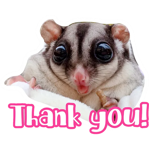 Sugar glider BB & BNUI (IG: lovelybjai) - Sticker 15