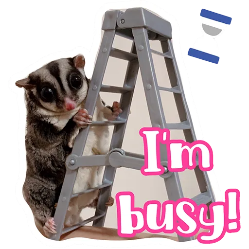 Sugar glider BB & BNUI (IG: lovelybjai) - Sticker 24