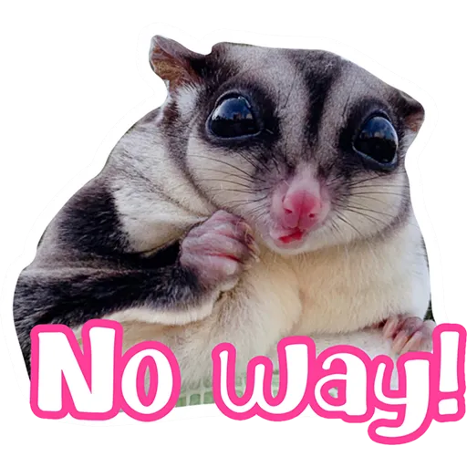 Sugar glider BB & BNUI (IG: lovelybjai) - Sticker 9