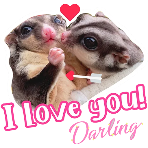 Sugar glider BB & BNUI (IG: lovelybjai) - Sticker 17