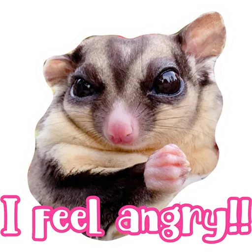 Sugar glider BB & BNUI (IG: lovelybjai) - Sticker 13