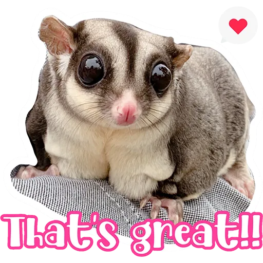 Sugar glider BB & BNUI (IG: lovelybjai) - Sticker 25