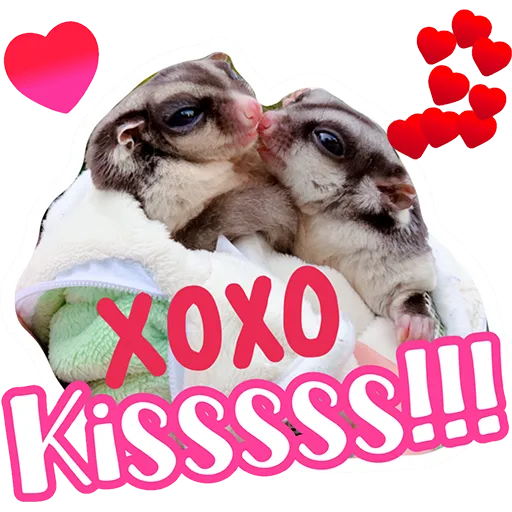 Sugar glider BB & BNUI (IG: lovelybjai) - Sticker 20