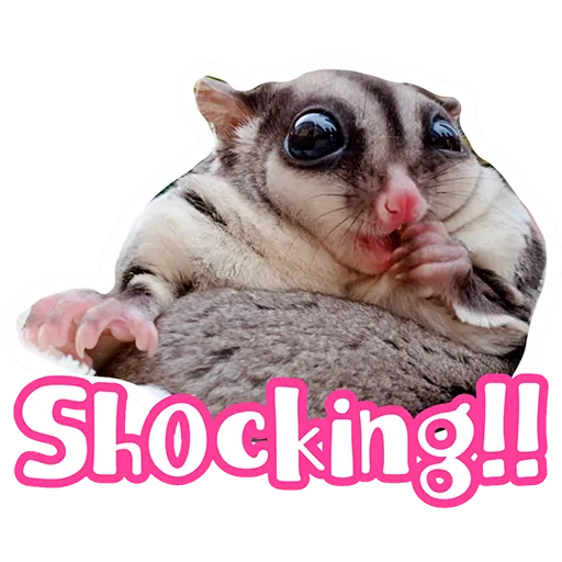 Sugar glider BB & BNUI (IG: lovelybjai) - Sticker 22