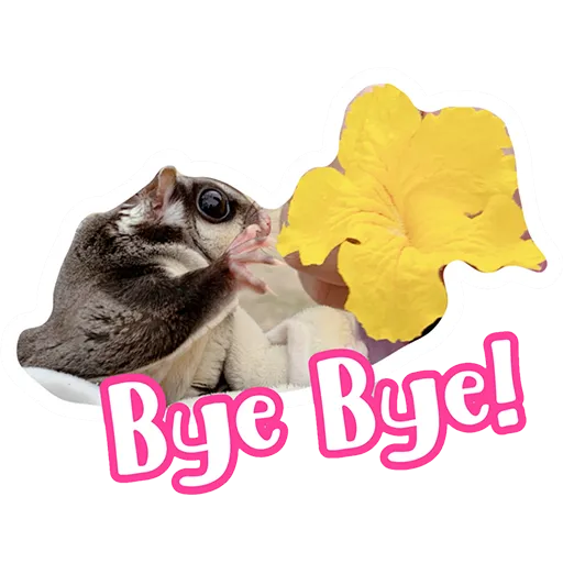 Sugar glider BB & BNUI (IG: lovelybjai) - Sticker 26