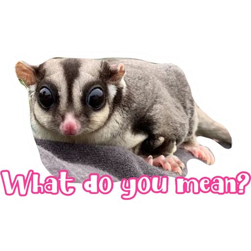 Sugar glider BB & BNUI (IG: lovelybjai) - Sticker 28