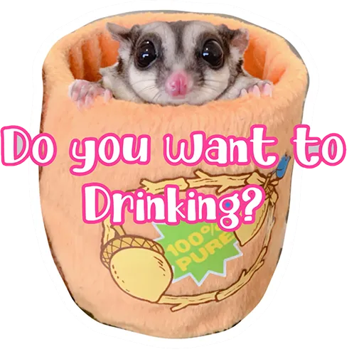 Sugar glider BB & BNUI (IG: lovelybjai) - Sticker 18