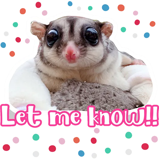 Sugar glider BB & BNUI (IG: lovelybjai) - Sticker 14