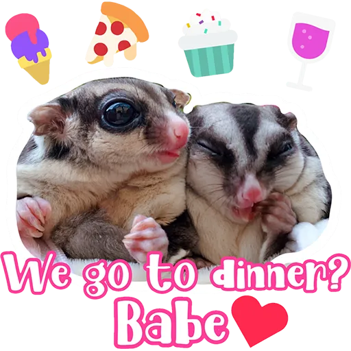 Sugar glider BB & BNUI (IG: lovelybjai) - Sticker 27