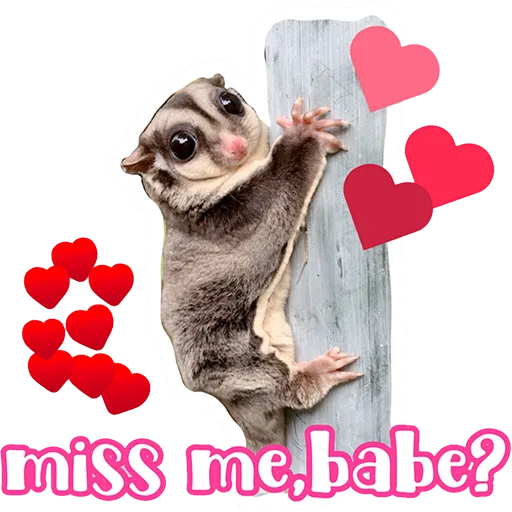 Sugar glider BB & BNUI (IG: lovelybjai) - Sticker 29