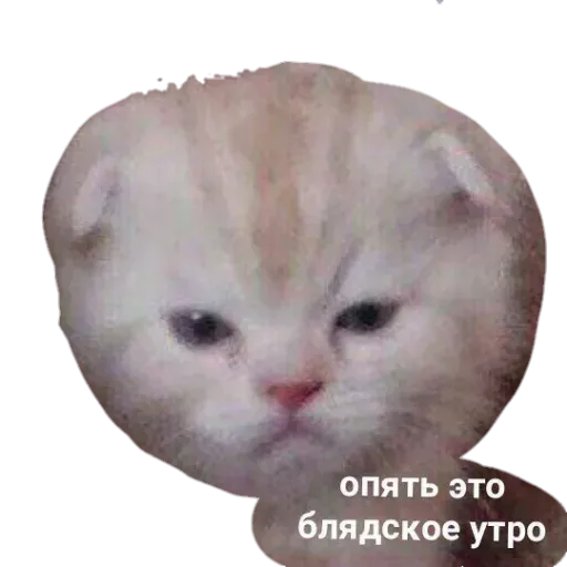 👍 - Sticker 19