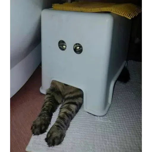 Cat2 - Sticker 25