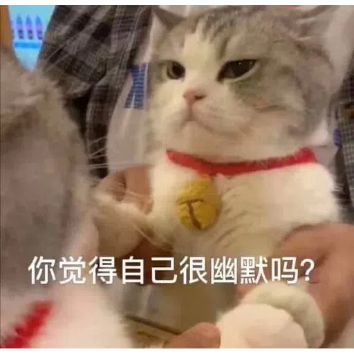 HK meme - Sticker 9
