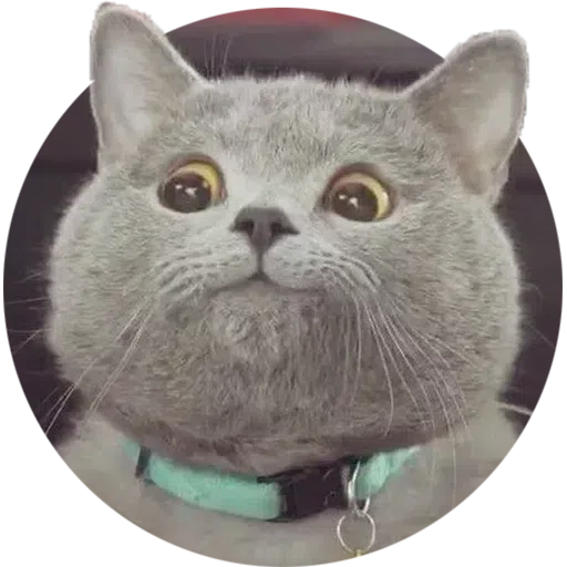 HK meme - Sticker 28