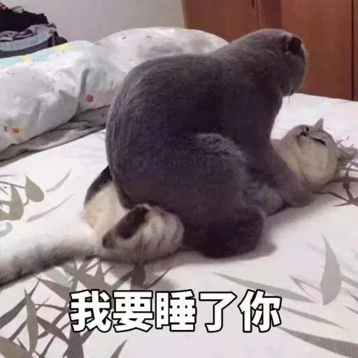 HK meme - Sticker 24