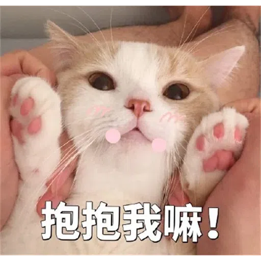 HK meme - Sticker 19