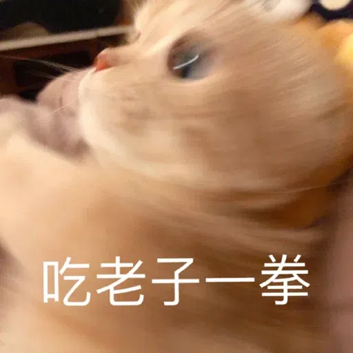 HK meme - Sticker 20