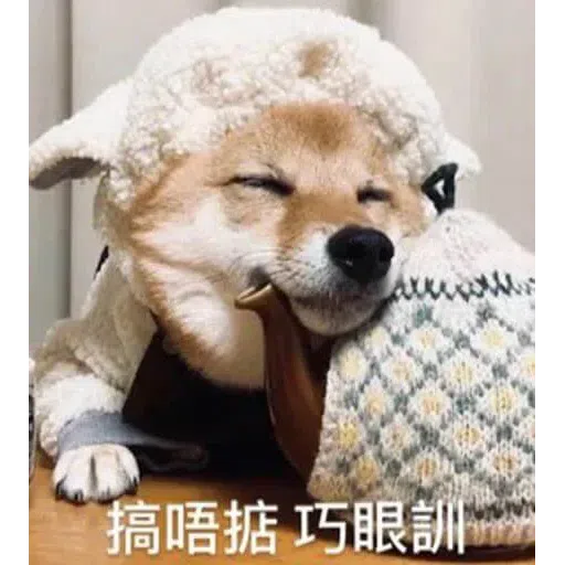 HK meme - Sticker 16