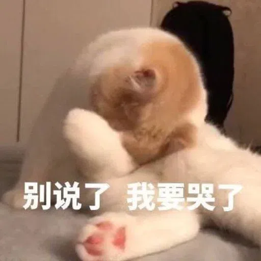 HK meme - Sticker 10