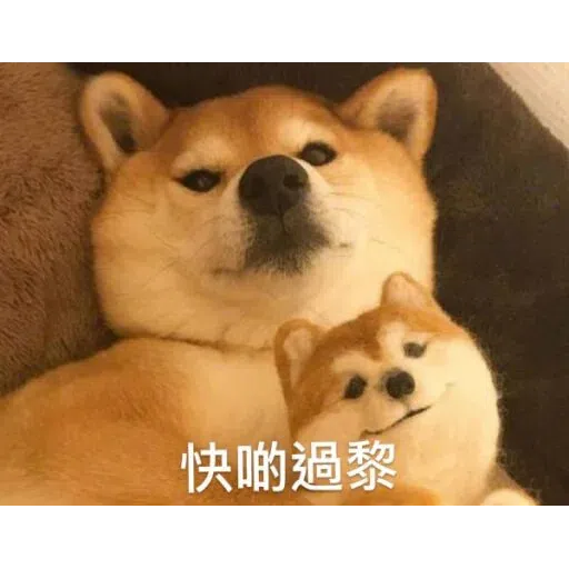 HK meme - Sticker 17