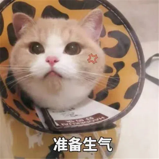 HK meme - Sticker 18